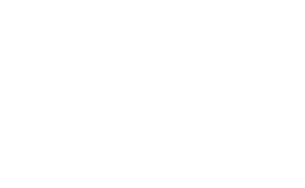 Control4 Domotica Besturing